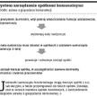 System zarządzania spółkami komunalnymi