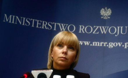 Dotknięte kryzysem firmy dostaną do 2 mln zł dotacji