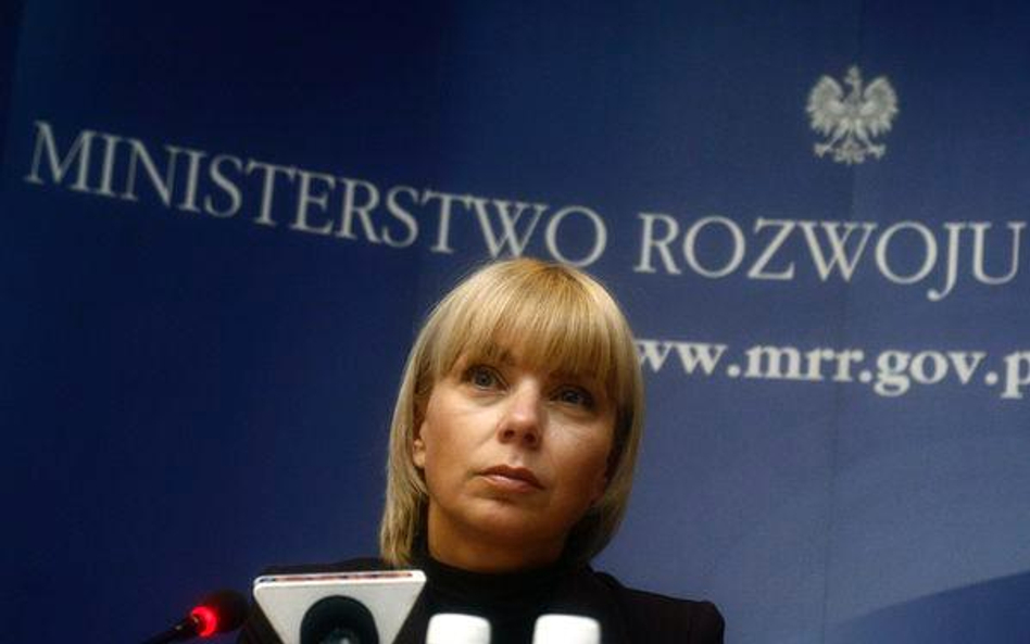 Dotknięte kryzysem firmy dostaną do 2 mln zł dotacji