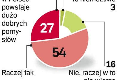 Polskę stać na google’a?