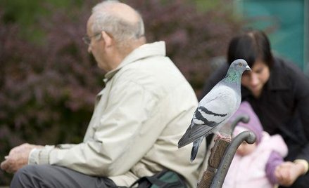 Na decyzję emerytalną trzeba długo czekać