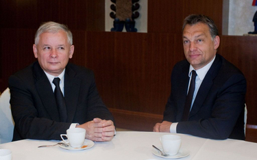 Fidesz Viktora Orbána przejmuje z rąk brytyjskich konserwatystów rolę głównego sojusznika partii Jar