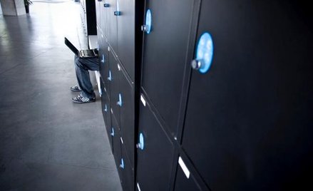 Spis powszechny przez Internet a ochrona danych osobowych