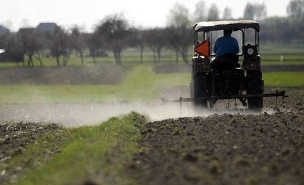 Problemy wspólnot gruntowych