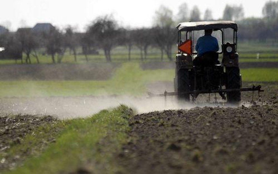 Dzierżawa ziemi zdrożała o jedną piątą