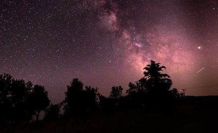 W tych stanach najczęściej zgłaszano przypadki obserwacji UFO. Nowe dane Enigma Labs