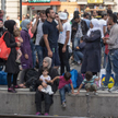 Wszyscy potrzebujemy lepiej zrozumieć mechanizmy migracyjne i przygotować się na życie w świecie kul