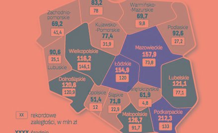 Raport o zadłużeniu sektora