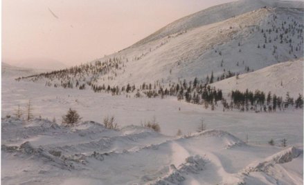 Odłożone złote inwestycje