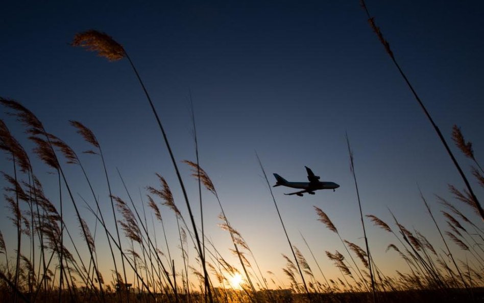 Adria Airways do prywatyzacji