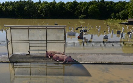 Przyroda (zdjęcie pojedyncze): 3. miejsce - Bartłomiej Jurecki, Tygodnik Podhalański