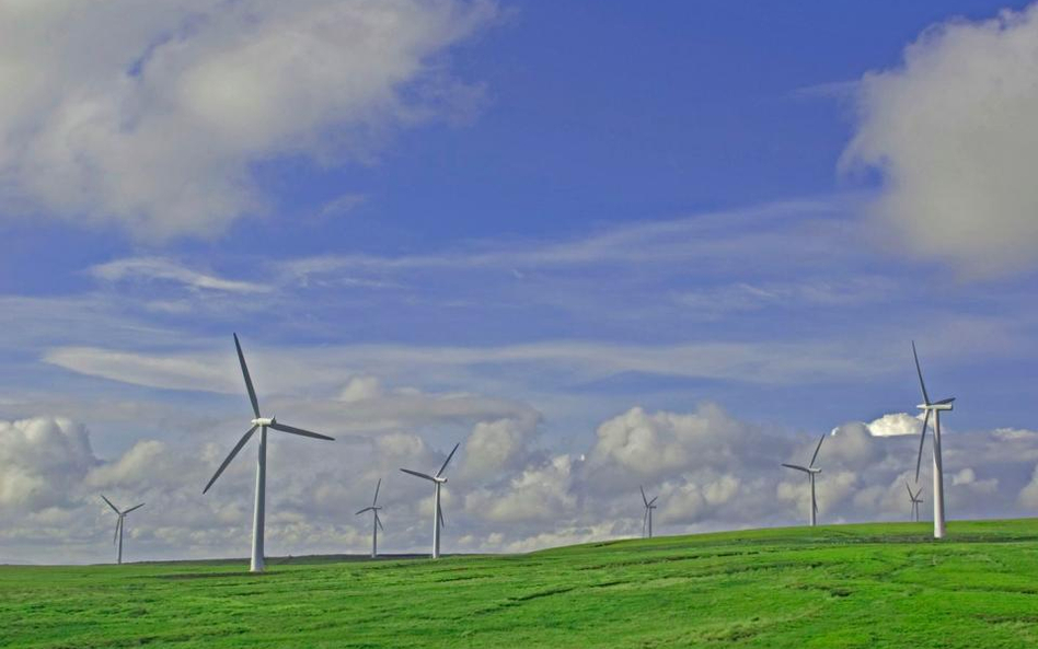 Przedsiębiorca wystąpił do gminy o warunki lokalizacji dla elektrowni wiatrowej. Ta postępowanie pro