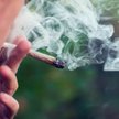 konsumpcja i sprzedaż haszyszu, marihuany i ich pochodnych są w Holandii tolerowane