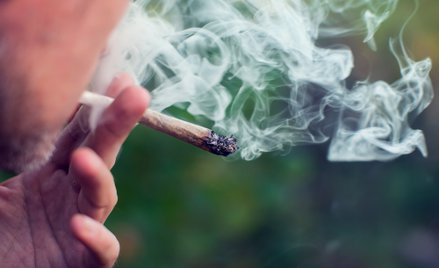 konsumpcja i sprzedaż haszyszu, marihuany i ich pochodnych są w Holandii tolerowane