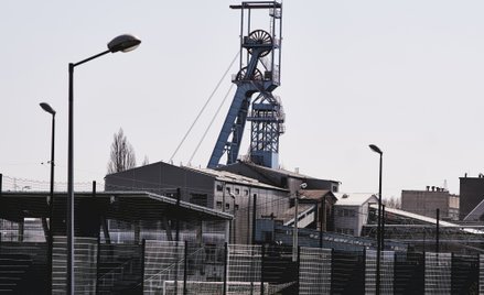 JSW jednak nie sprzeda dwóch cennych spółek? Jest deklaracja szefa MAP