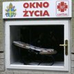 Dwudziestolatek w oknie życia. Chciał się przespać