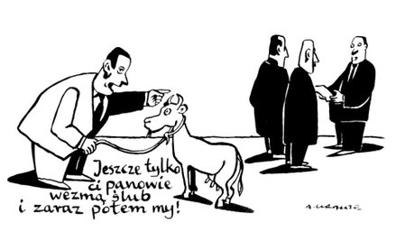 Rysuje Andrzej Krauze