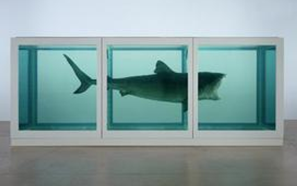 "The Physical Impossibility of Death in the Mind of Someone Living", 1991 Damien Hirst