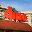 Dino chce znów otwierać coraz więcej sklepów