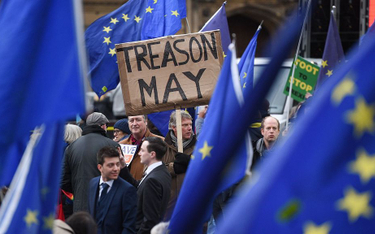 Demonstranci przed brytyjskim parlamentem