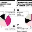 Polacy podzieleni co do wprowadzenia euro