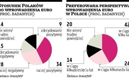 Polacy podzieleni co do wprowadzenia euro