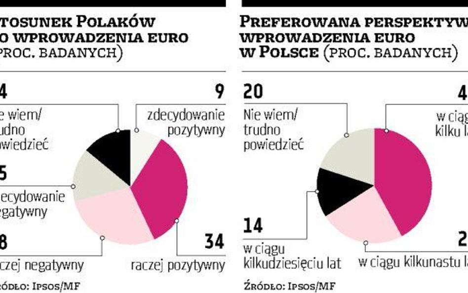 Polacy podzieleni co do wprowadzenia euro