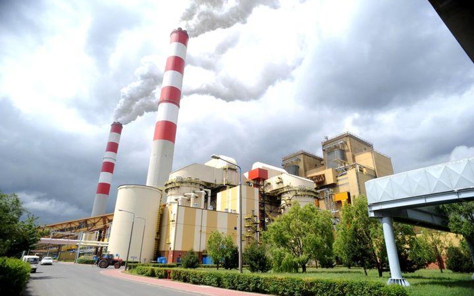 Ciągle przygotowania do inwestycji w Pelplinie trwają w Kulczyk Holding, a także w GDF Suez – do bud