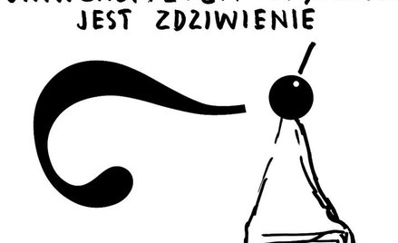 Rysuje Janusz Kapusta