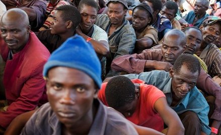 Fiński polityk: Sterylizujmy imigrantów z Afryki