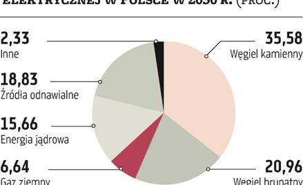 Na co postawią elektrownie, na gaz czy węgiel?
