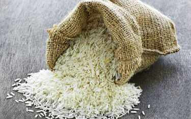 Skąd pochodzi ryż? Naukowcy się spierają
