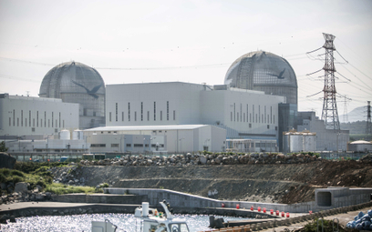 Atomowy biznes Europy chce chronić klimat