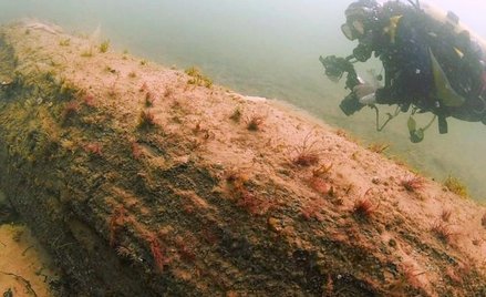 Doggerland był prawdziwym rajem dla łowców i zbieraczy