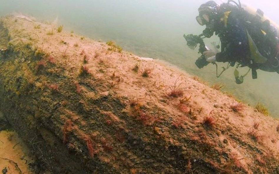 Doggerland był prawdziwym rajem dla łowców i zbieraczy