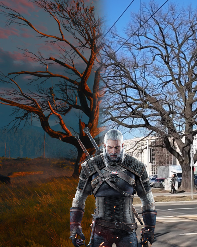 Praski dąb w grze Wiedźmin, źródło: https://www.petycjeonline.com