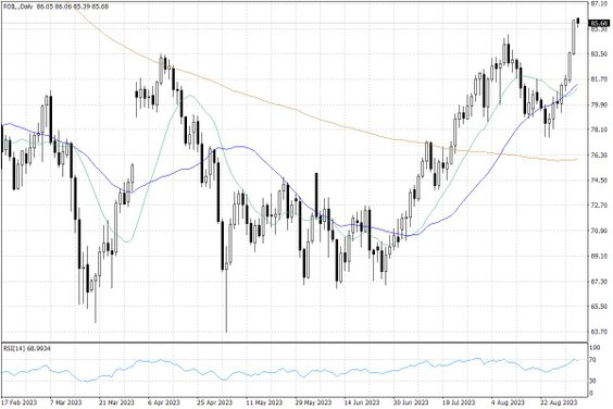Notowania ropy naftowej WTI – dane dzienne