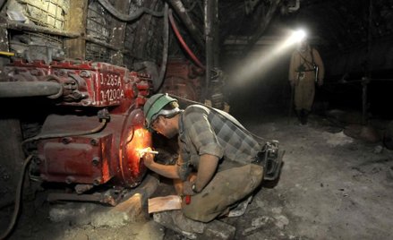 PGG: Warunek przetrwania