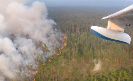 Rosja. Bardzo drogie pożary Syberii