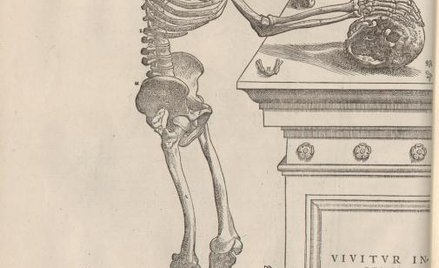 Sekcja zwłok w teatrze