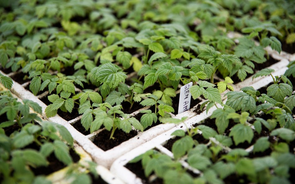 Nowością podczas tej odsłony akcji będzie możliwość wymiany odzieży i tekstyliów na sadzonki roślin