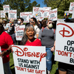 Disney kontra "Dont Say Gay"