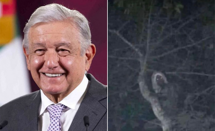 Prezydent Meksyku udostępnił w internecie zdjęcie. Twierdzi, że to leśny elf