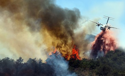 Chmura ognista powstaje nad intensywnym pożarem i może przyspieszać rozprzestrzenianie się ognia