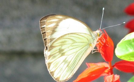 Ochrona środowiska: trudno o rekompensatę z Natura 2000