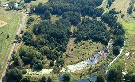 Badania w Chodliku prowadzą od sześciu lat naukowcy z Instytutu Archeologii i Etnologii PAN w Warsza