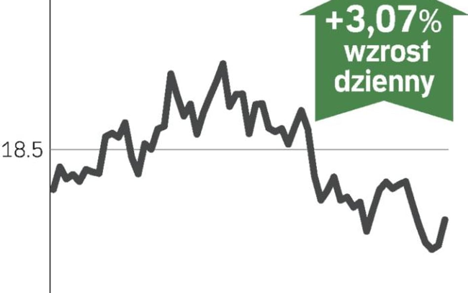 Akcje TP odbiły się od dna