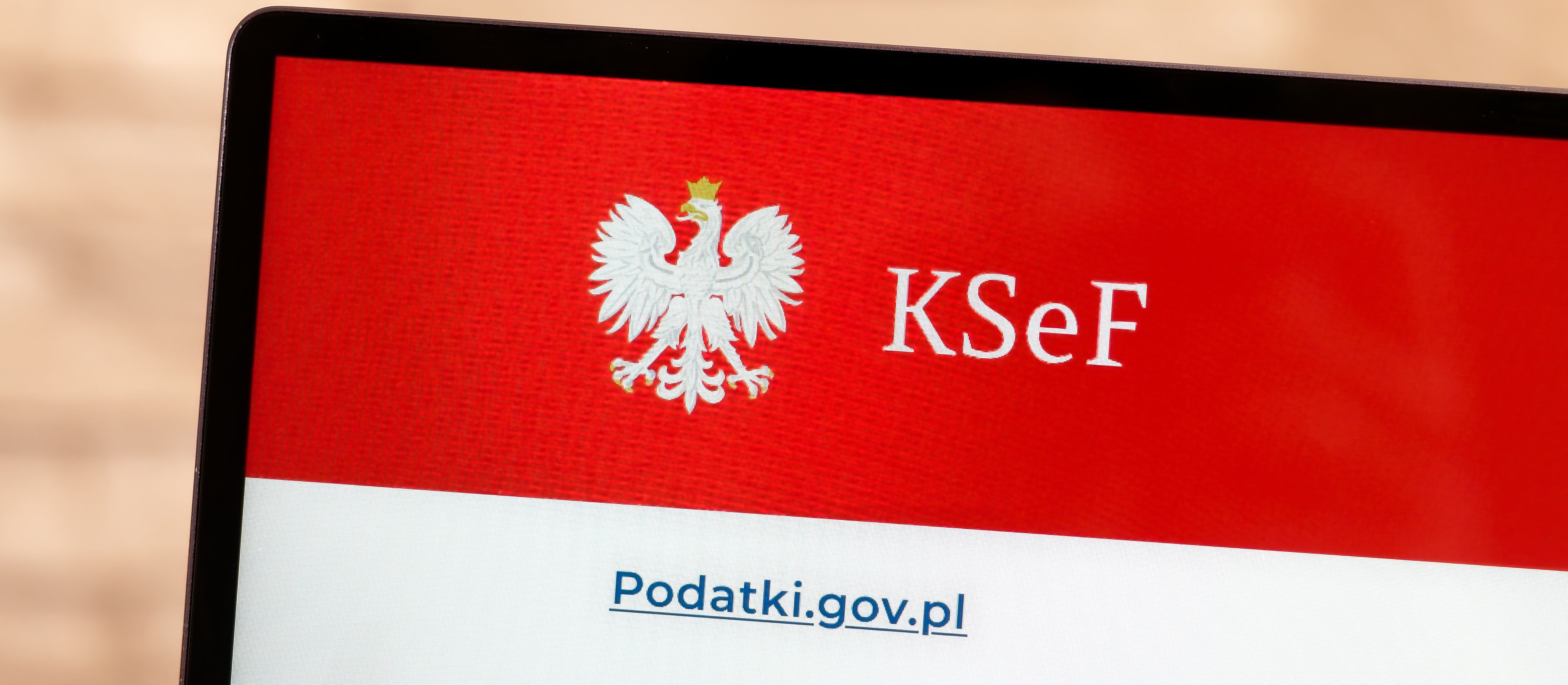 Paweł Rochowicz: Oto dlaczego bronię KSeF-u!