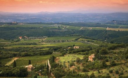 W sercu „czarnego koguta”