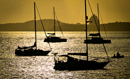 Żaglówki w Amador Causeway Yacht Club w Panama City